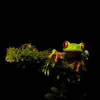 Costa_Rica_9_2022-327