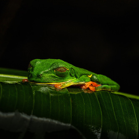 Costa_Rica_8_2022-151