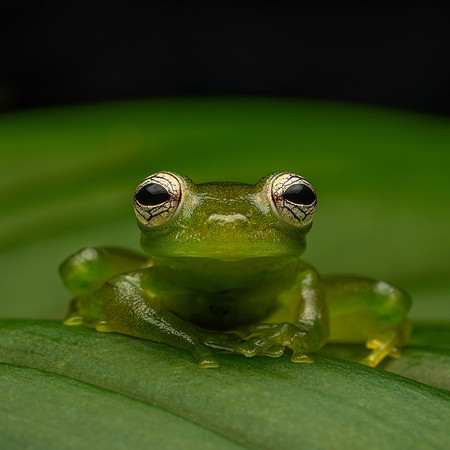 Costa_Rica_8_2022-133