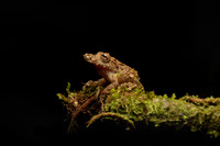 Costa_Rica_9_2022-038