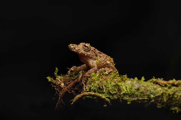 Costa_Rica_9_2022-038