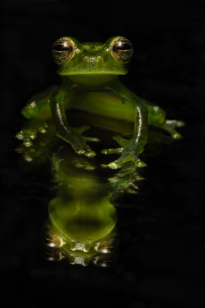 Costa_Rica_9_2022-347