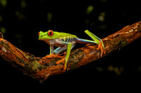 Costa_Rica_9_2022-420