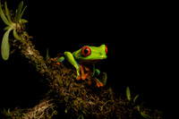 Costa_Rica_9_2022-030