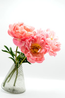 Peony_Play_2021-165