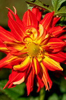 Rushton_Farm_Willistown, PA_September_2021_2-228