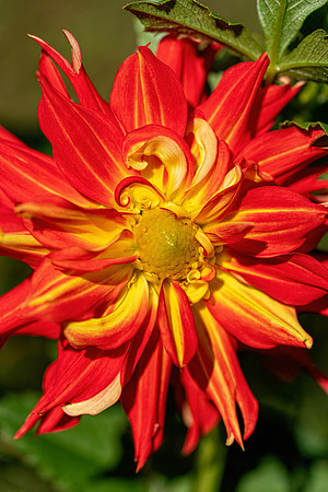 Rushton_Farm_Willistown, PA_September_2021_2-228