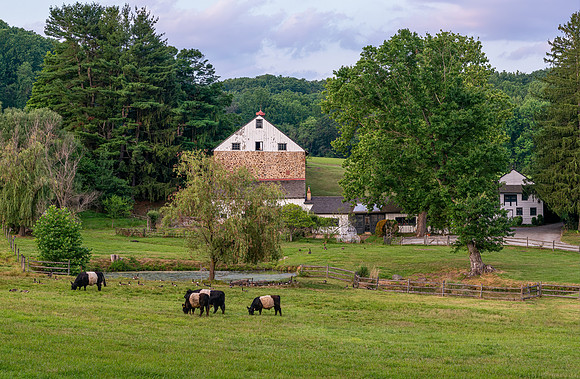 Chester_County_2020-087
