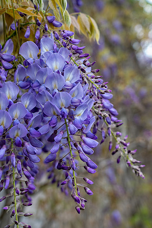 Andalusia_2_2021-038-Edit-Edit