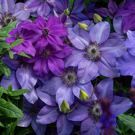 Swarthmore_15_2020-161-Edit-Edit