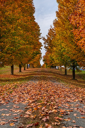 Vermont_Fall_2_2020-155
