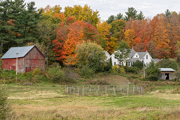 Vermont_Fall_3_2020-025