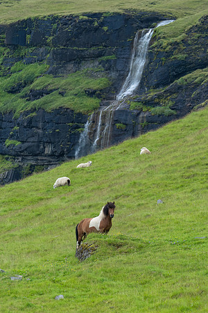 Iceland_3_2022-213-Edit-Edit-Edit