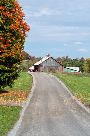 Vermont_Fall_3_2020-007