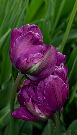 Longwood_2_2022-173