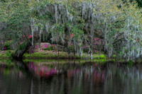 South Carolina